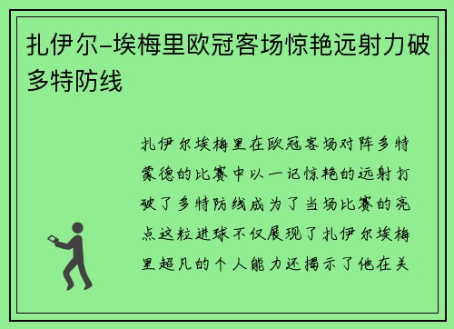 扎伊尔-埃梅里欧冠客场惊艳远射力破多特防线
